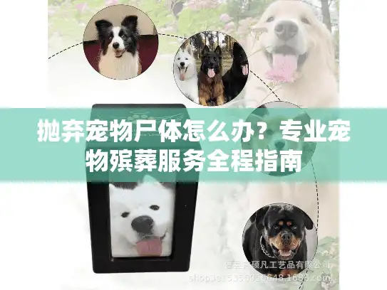 抛弃宠物尸体怎么办?专业宠物殡葬服务全程指南 抛弃宠物尸体怎么办?专业宠物殡葬服务全程指南