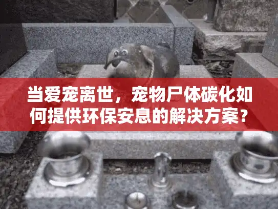 当爱宠离世,宠物尸体碳化如何提供环保安息的解决方案? 当爱宠离世,宠物尸体碳化如何提供环保安息的解决方案?