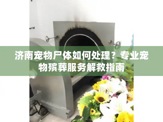 济南宠物尸体如何处理？专业宠物殡葬服务解救指南