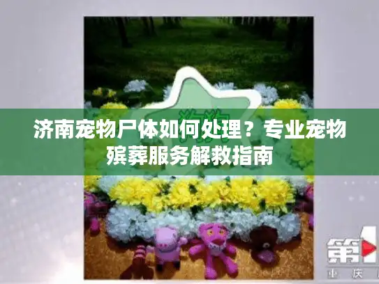 济南宠物尸体如何处理？专业宠物殡葬服务解救指南
