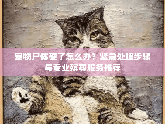 宠物尸体硬了怎么办？紧急处理步骤与专业殡葬服务推荐