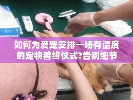 如何为爱宠安排一场有温度的宠物善终仪式?告别细节指南