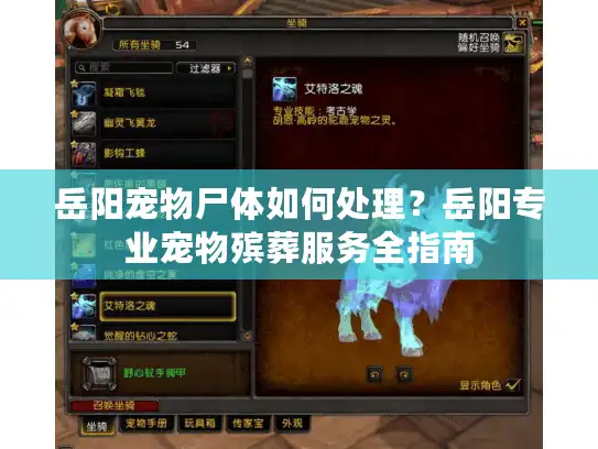 岳阳宠物尸体如何处理？岳阳专业宠物殡葬服务全指南