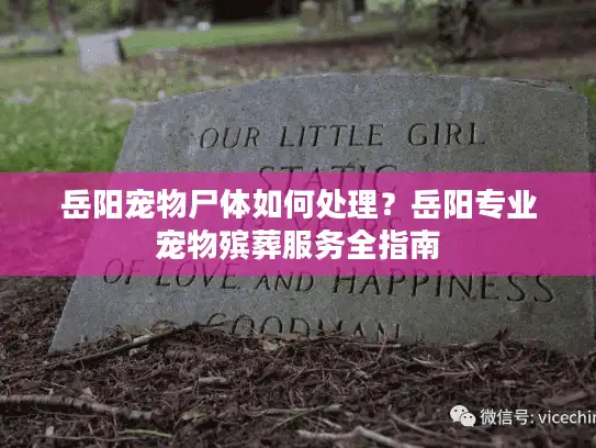 岳阳宠物尸体如何处理？岳阳专业宠物殡葬服务全指南