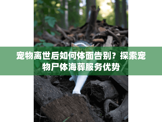 宠物离世后如何体面告别？探索宠物尸体海葬服务优势