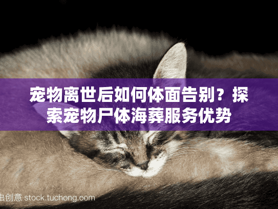 宠物离世后如何体面告别？探索宠物尸体海葬服务优势