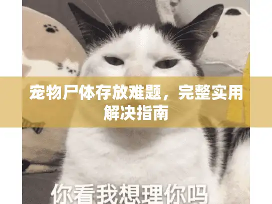 宠物尸体存放难题,完整实用解决指南 宠物尸体存放难题,完整实用解决指南