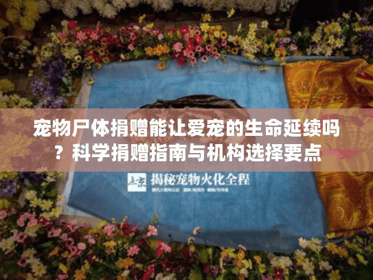 宠物尸体捐赠能让爱宠的生命延续吗？科学捐赠指南与机构选择要点