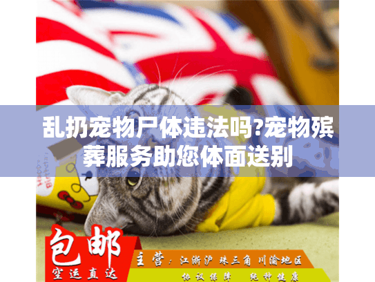 乱扔宠物尸体违法吗?宠物殡葬服务助您体面送别