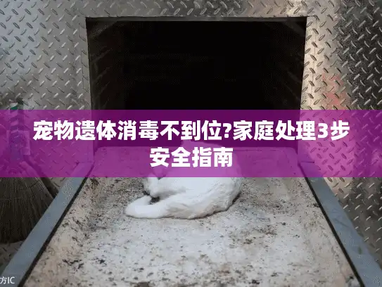 宠物遗体消毒不到位?家庭处理3步安全指南 宠物遗体消毒不到位?家庭处理3步安全指南