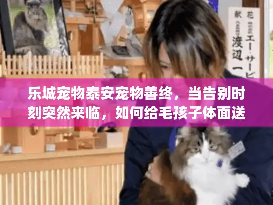 乐城宠物泰安宠物善终，当告别时刻突然来临，如何给毛孩子体面送别？