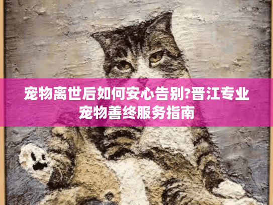 宠物离世后如何安心告别?晋江专业宠物善终服务指南