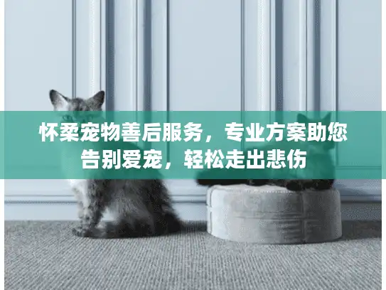 怀柔宠物善后服务，专业方案助您告别爱宠，轻松走出悲伤
