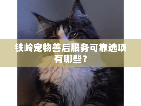 铁岭宠物善后服务可靠选项有哪些？