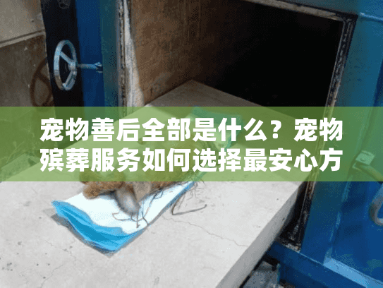 宠物善后全部是什么？宠物殡葬服务如何选择最安心方案