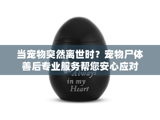 当宠物突然离世时?宠物尸体善后专业服务帮您安心应对 当宠物突然离世时?宠物尸体善后专业服务帮您安心应对