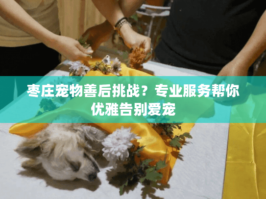 枣庄宠物善后挑战?专业服务帮你优雅告别爱宠 枣庄宠物善后挑战?专业服务帮你优雅告别爱宠
