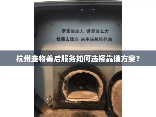 杭州宠物善后服务如何选择靠谱方案？
