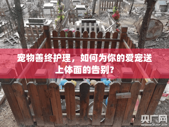 宠物善终护理,如何为你的爱宠送上体面的告别? 宠物善终护理,如何为你的爱宠送上体面的告别?