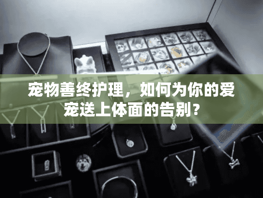 宠物善终护理,如何为你的爱宠送上体面的告别? 宠物善终护理,如何为你的爱宠送上体面的告别?