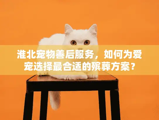 淮北宠物善后服务，如何为爱宠选择最合适的殡葬方案？