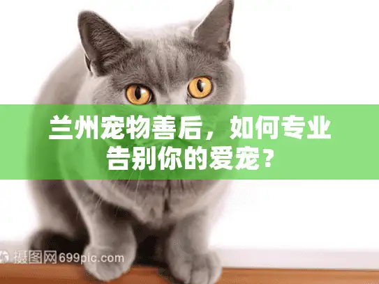 兰州宠物善后,如何专业告别你的爱宠? 兰州宠物善后,如何专业告别你的爱宠?