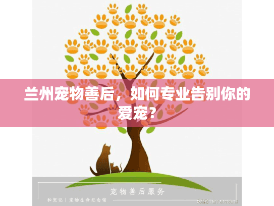 兰州宠物善后,如何专业告别你的爱宠? 兰州宠物善后,如何专业告别你的爱宠?