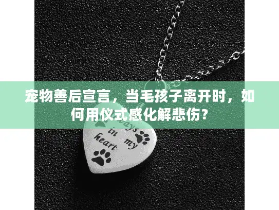 宠物善后宣言，当毛孩子离开时，如何用仪式感化解悲伤？