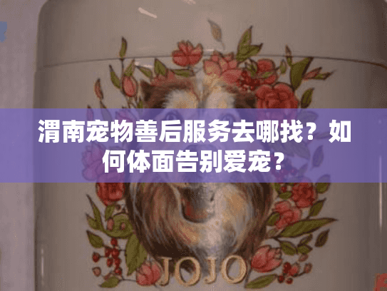 渭南宠物善后服务去哪找？如何体面告别爱宠？