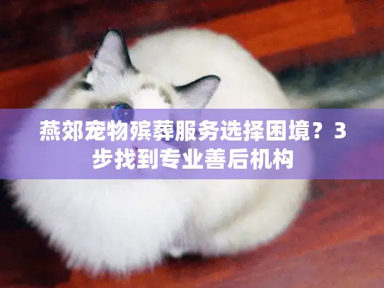 燕郊宠物殡葬服务选择困境？3步找到专业善后机构