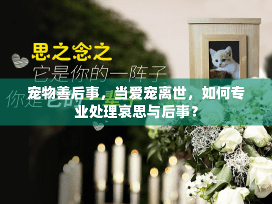 宠物善后事,当爱宠离世,如何专业处理哀思与后事? 宠物善后事,当爱宠离世,如何专业处理哀思与后事?