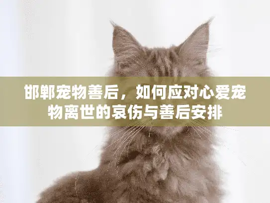 邯郸宠物善后，如何应对心爱宠物离世的哀伤与善后安排