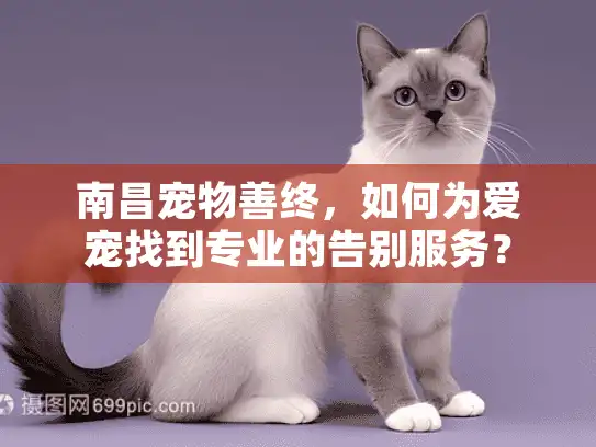 南昌宠物善终,如何为爱宠找到专业的告别服务? 南昌宠物善终,如何为爱宠找到专业的告别服务?