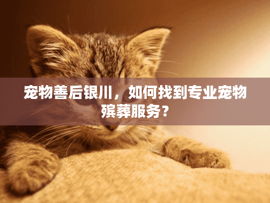 宠物善后银川,如何找到专业宠物殡葬服务? 宠物善后银川,如何找到专业宠物殡葬服务?