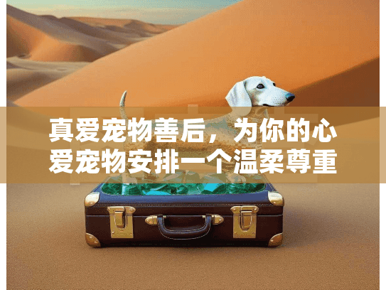 真爱宠物善后,为你的心爱宠物安排一个温柔尊重的告别? 真爱宠物善后,为你的心爱宠物安排一个温柔尊重的告别?
