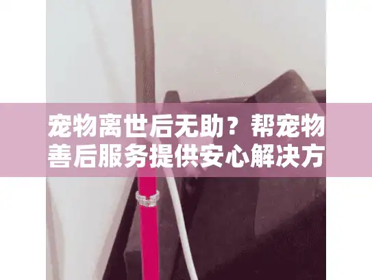 宠物离世后无助？帮宠物善后服务提供安心解决方案