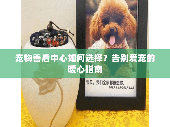 宠物善后中心如何选择？告别爱宠的暖心指南