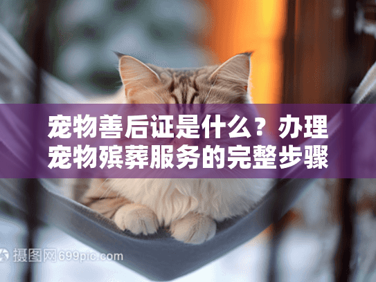 宠物善后证是什么？办理宠物殡葬服务的完整步骤指南
