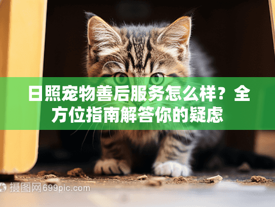 日照宠物善后服务怎么样?全方位指南解答你的疑虑 日照宠物善后服务怎么样?全方位指南解答你的疑虑