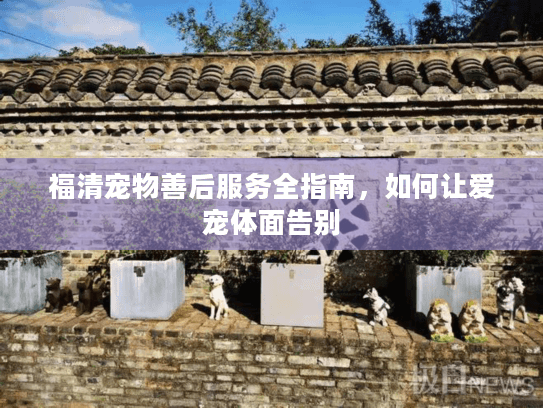 福清宠物善后服务全指南，如何让爱宠体面告别