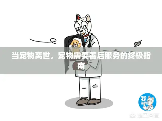 当宠物离世，宠物需要善后服务的终极指南