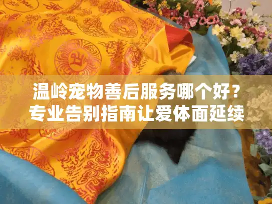 温岭宠物善后服务哪个好？专业告别指南让爱体面延续