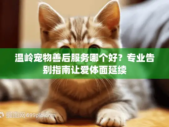 温岭宠物善后服务哪个好？专业告别指南让爱体面延续