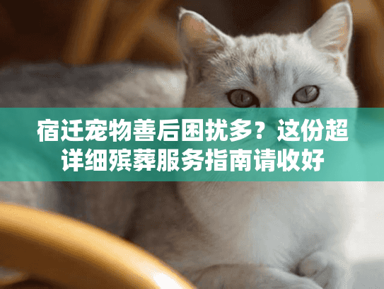 宿迁宠物善后困扰多?这份超详细殡葬服务指南请收好 宿迁宠物善后困扰多?这份超详细殡葬服务指南请收好