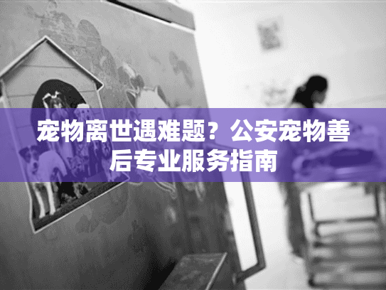 宠物离世遇难题?公安宠物善后专业服务指南 宠物离世遇难题?公安宠物善后专业服务指南