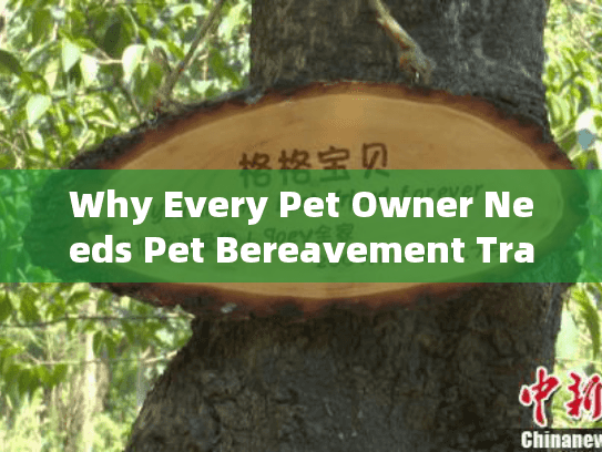 Why Every Pet Owner Needs Pet Bereavement Training