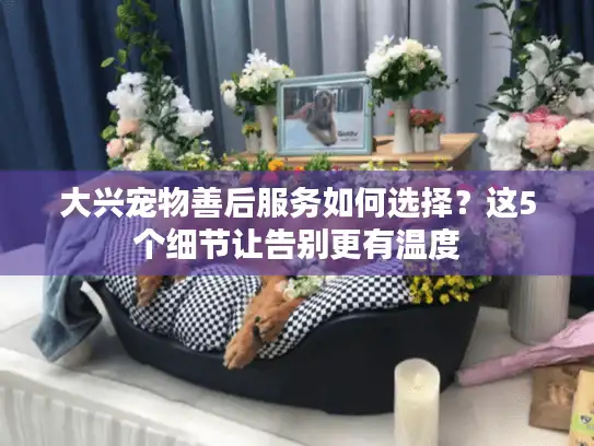 大兴宠物善后服务如何选择？这5个细节让告别更有温度