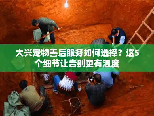 大兴宠物善后服务如何选择？这5个细节让告别更有温度