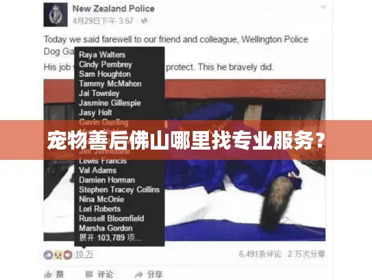 宠物善后佛山哪里找专业服务? 宠物善后佛山哪里找专业服务?