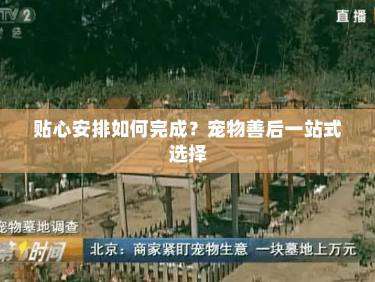 贴心安排如何完成?宠物善后一站式选择 贴心安排如何完成?宠物善后一站式选择